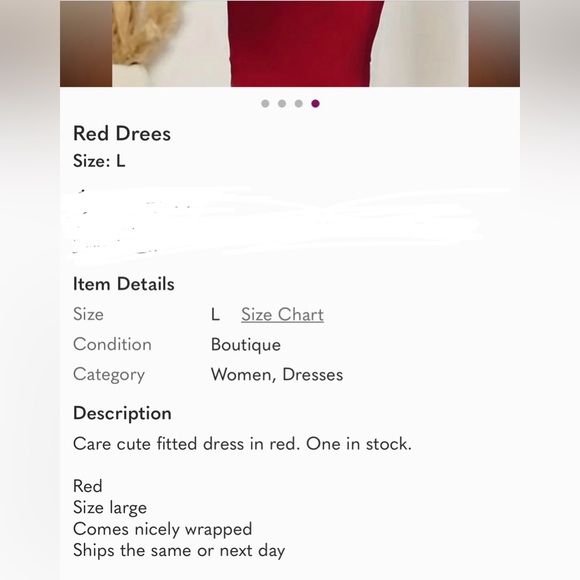 NWT Elegant Red Women's Dress L - Picture 6 of 11